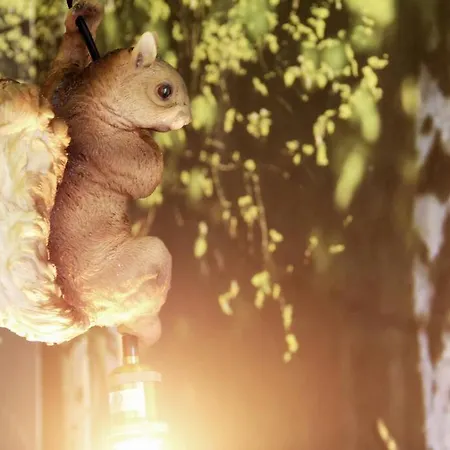 Wood Lodge Mit Kinderzimmer I Messe L City L Flughafen L Hbf Appartement Duisbourg